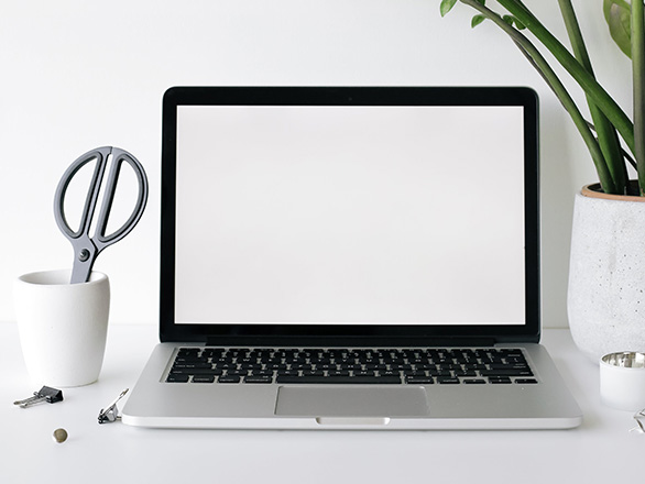 Laptop with blank white screen next to green plant and cup with scissors
